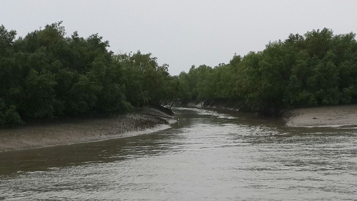 sundarbans