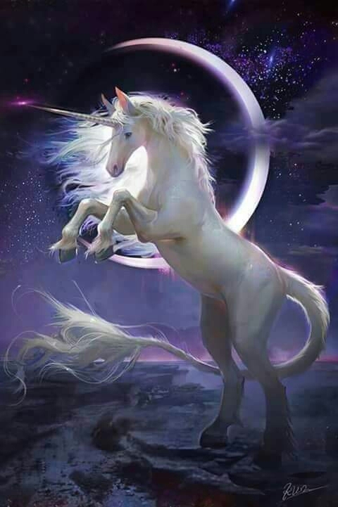 unicorn