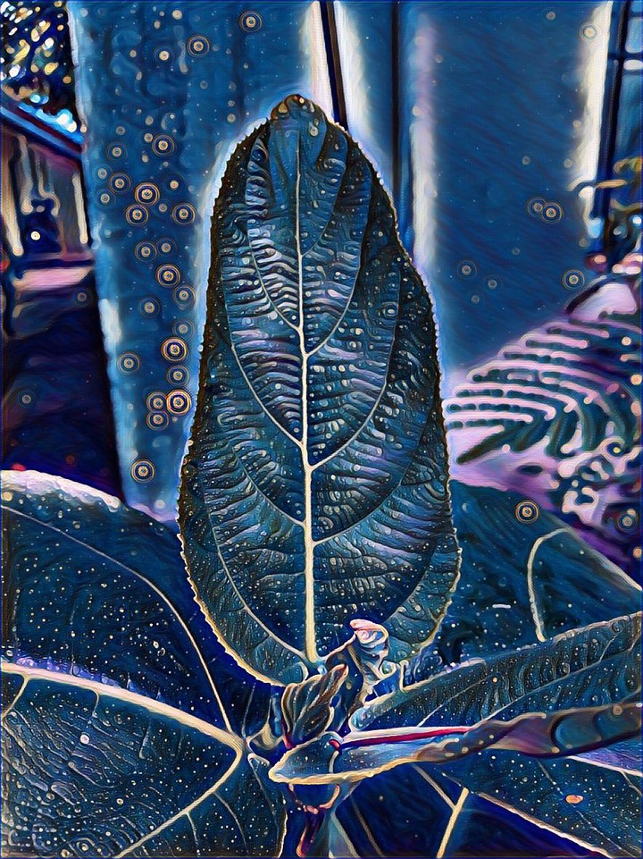 midnight reflection