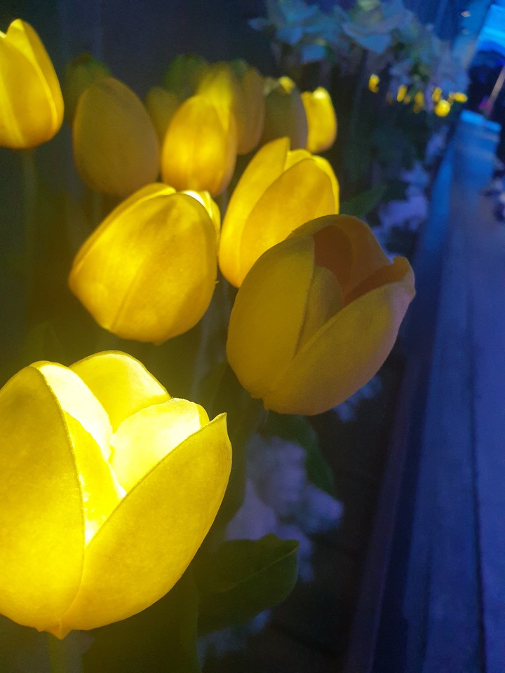 (ummmm...again fake) flowers