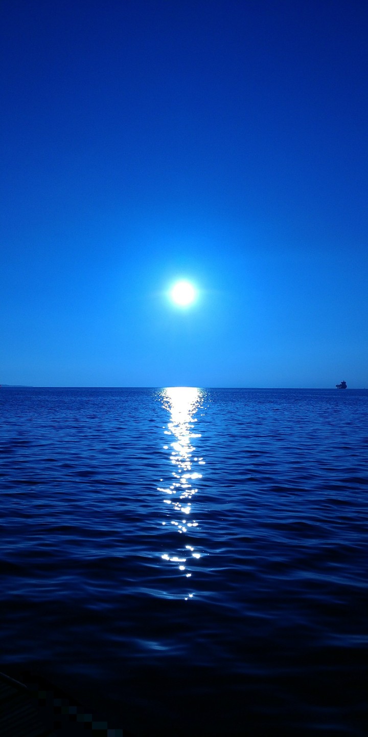 Blue Life