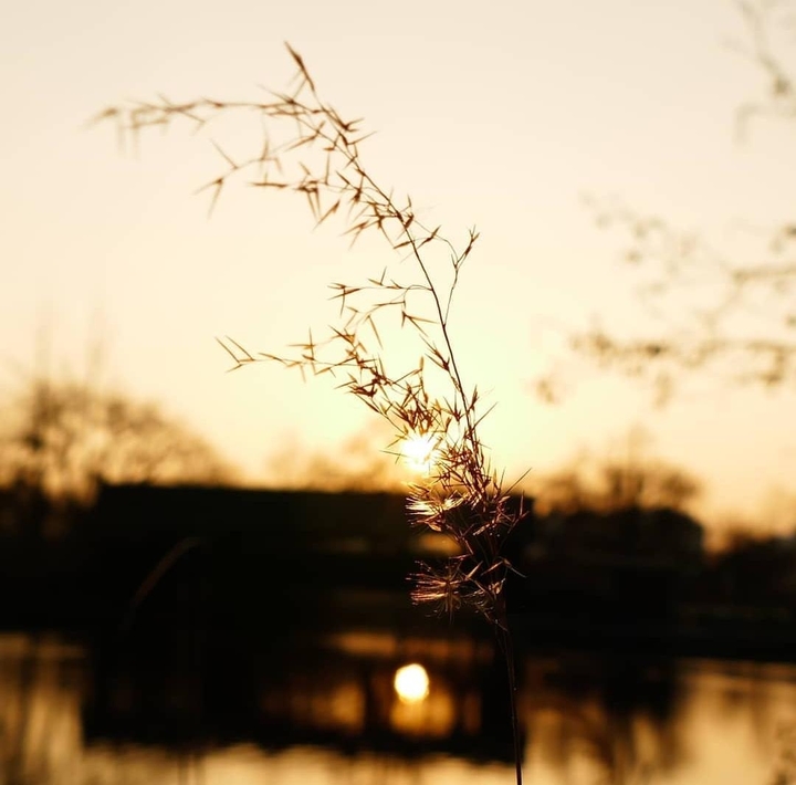 Lovely sunset ❤️❤️
