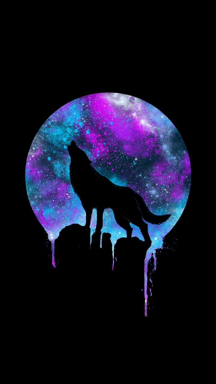 wolf in darkness