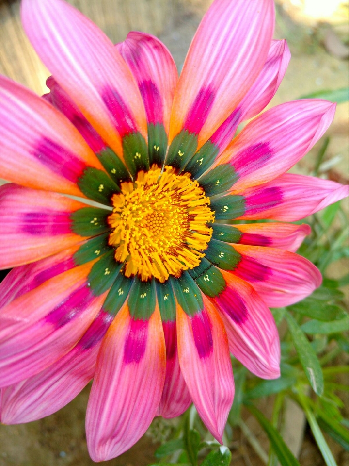 a click by MOTO X PLAY
