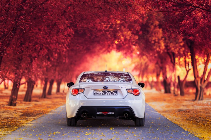 Subaru BRZ in the autumn