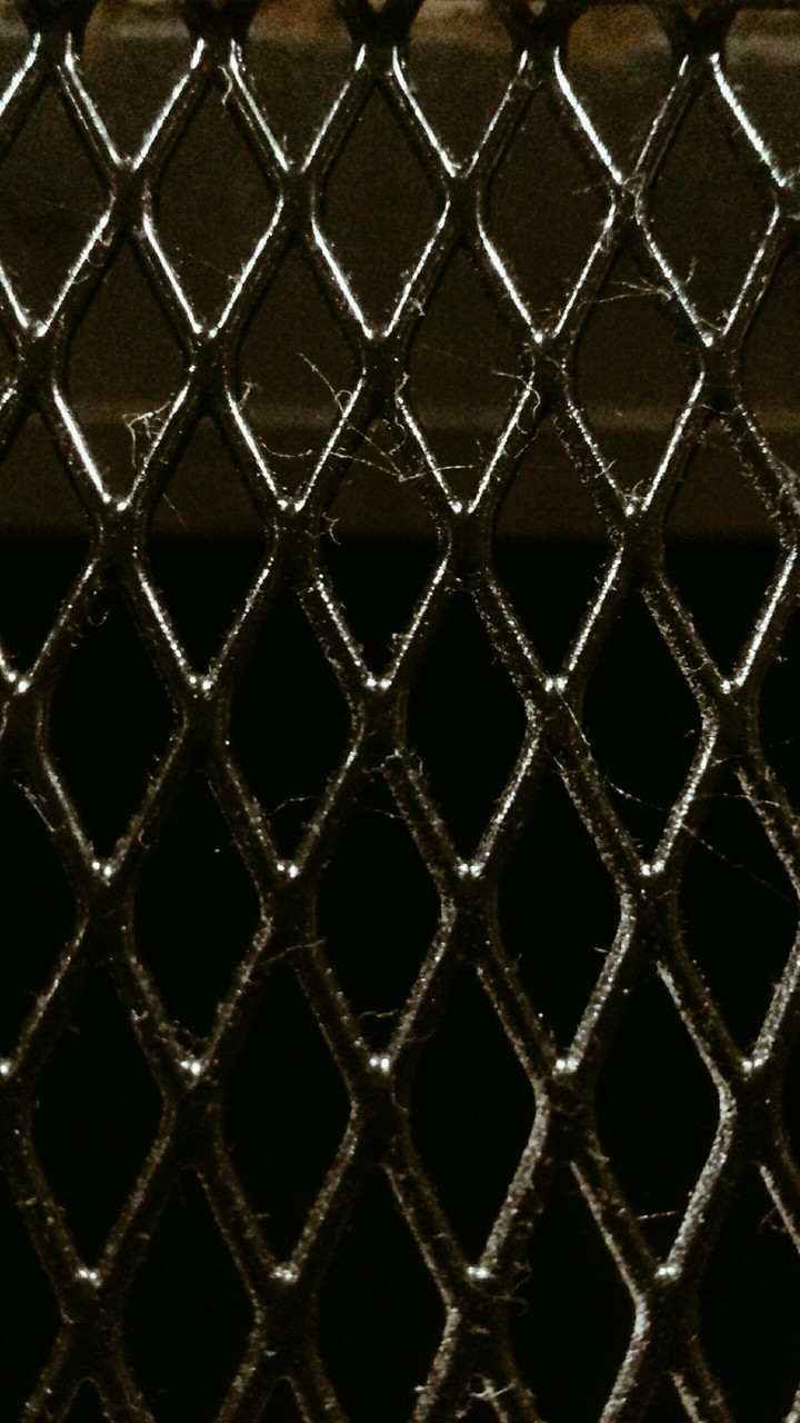 Cobweb.