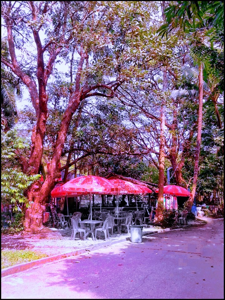 Take a rest 6