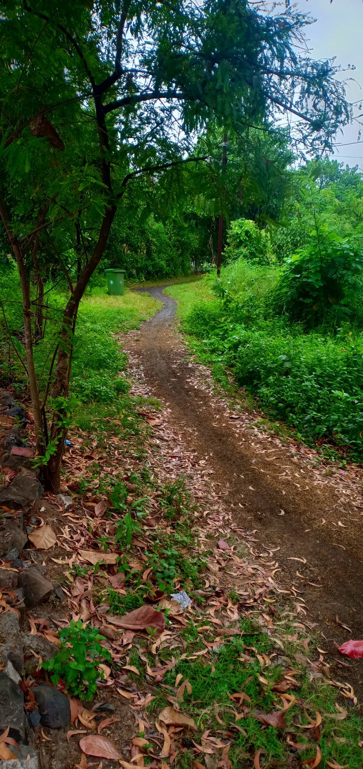 A road which leads to the unknown