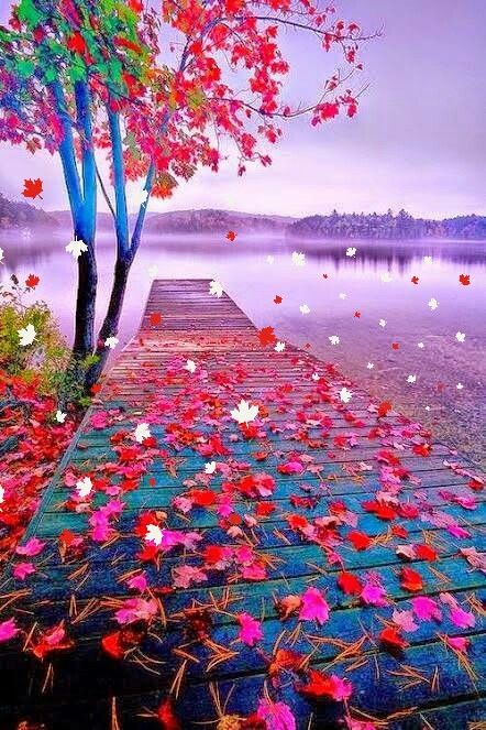 butifull  lak