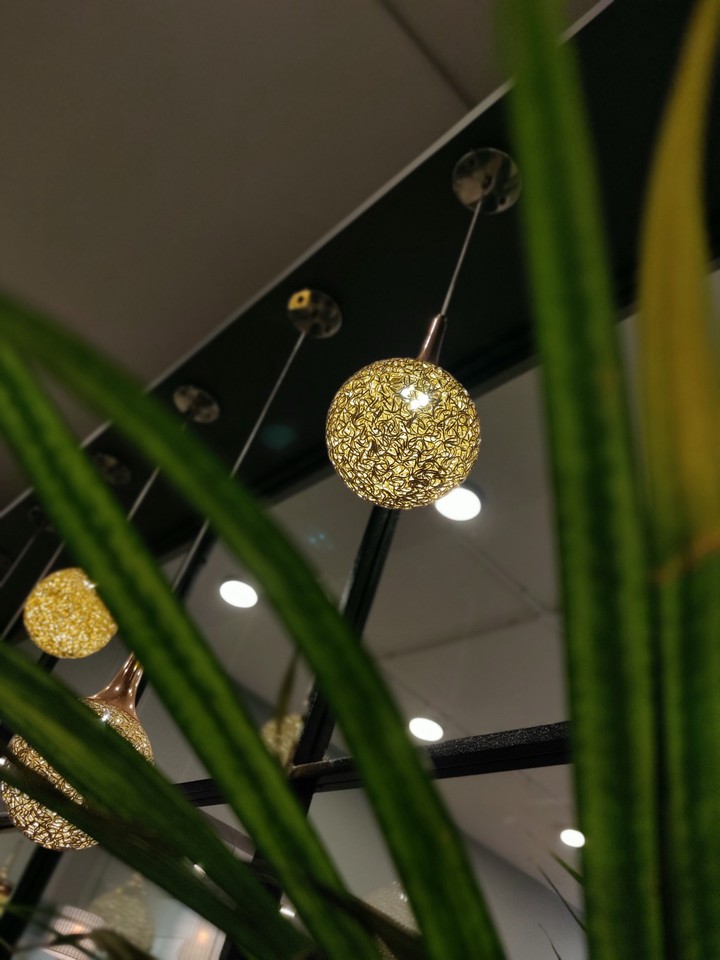 lights and leafs