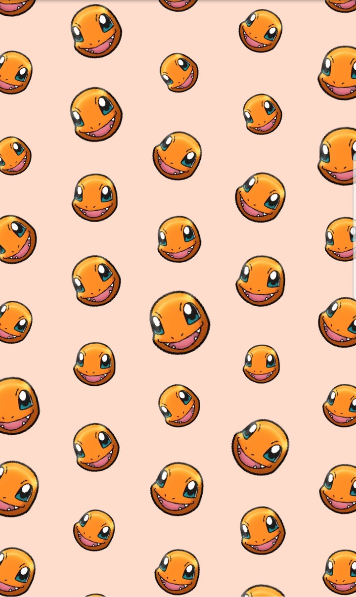 파이리
