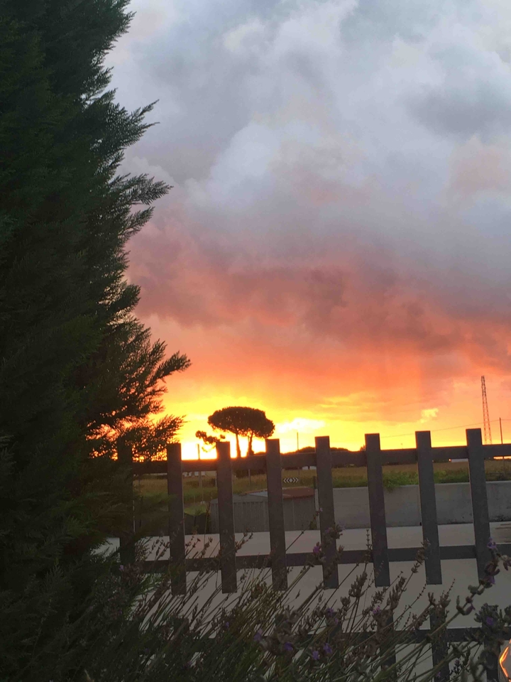 Alba