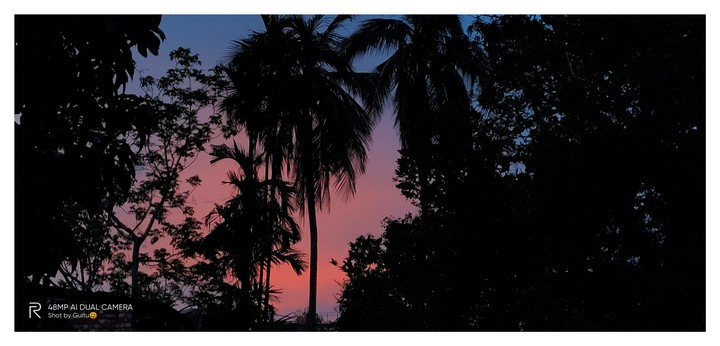 Twilight