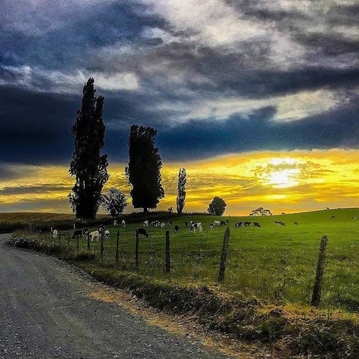 Nature
