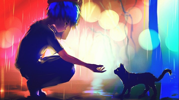 Boy & Cat in The Rain