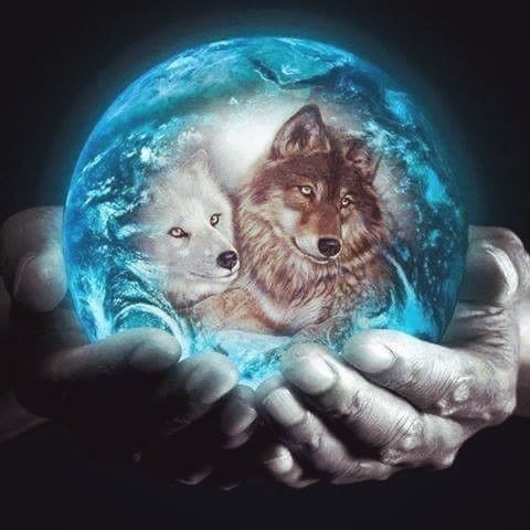 #wolf