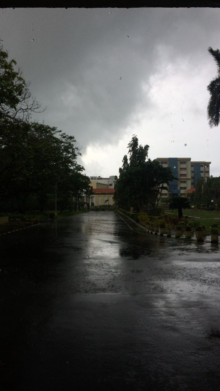 Wet Day