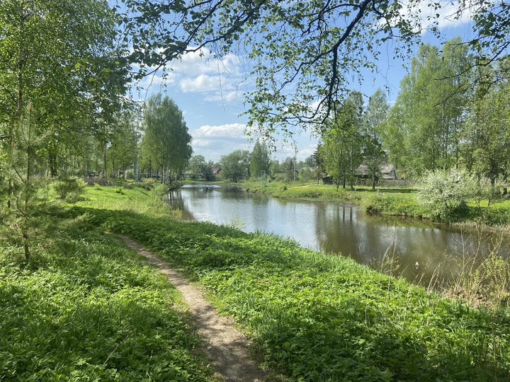 русская природа