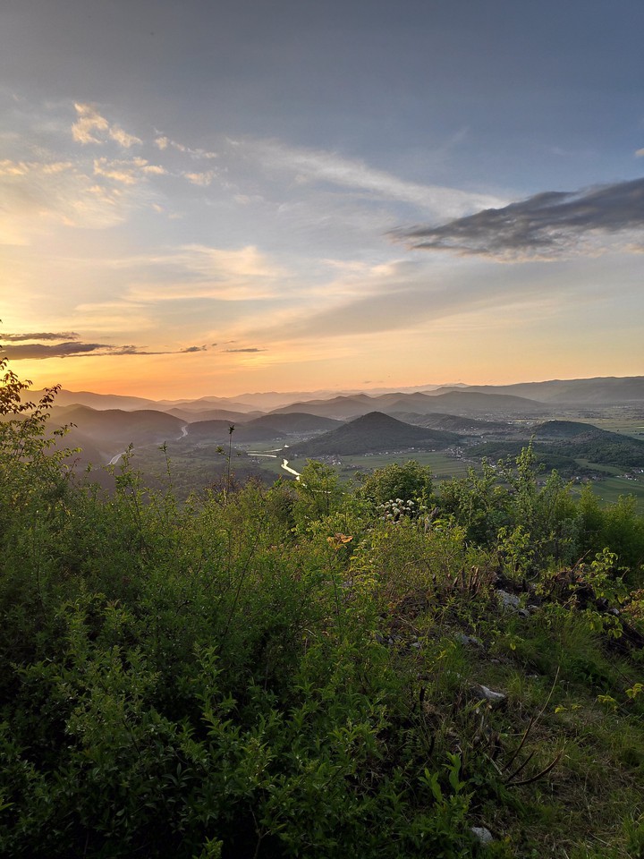 view