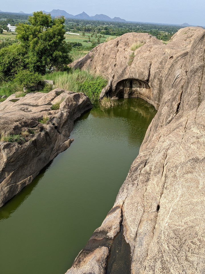 natural pool
