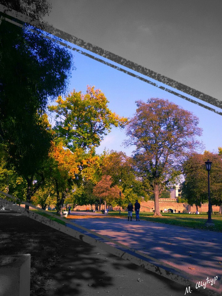 Дорћол