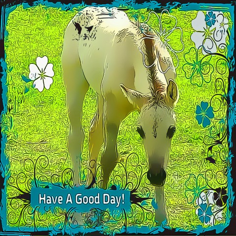 Have a Good Day 2
