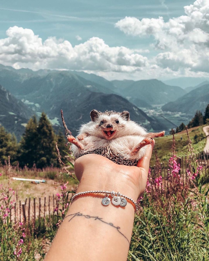 (Ɔ ˘⌣˘)♥฿Ɇ₴₮₩₳ⱠⱠ₱₳₱ɆⱤ♥(˘⌣˘ C)