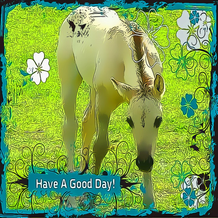 Have a Good Day 2