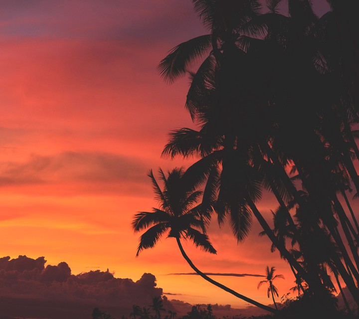 Sunset ?  Beach ?