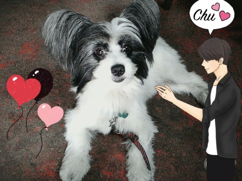 Cute Mittu
