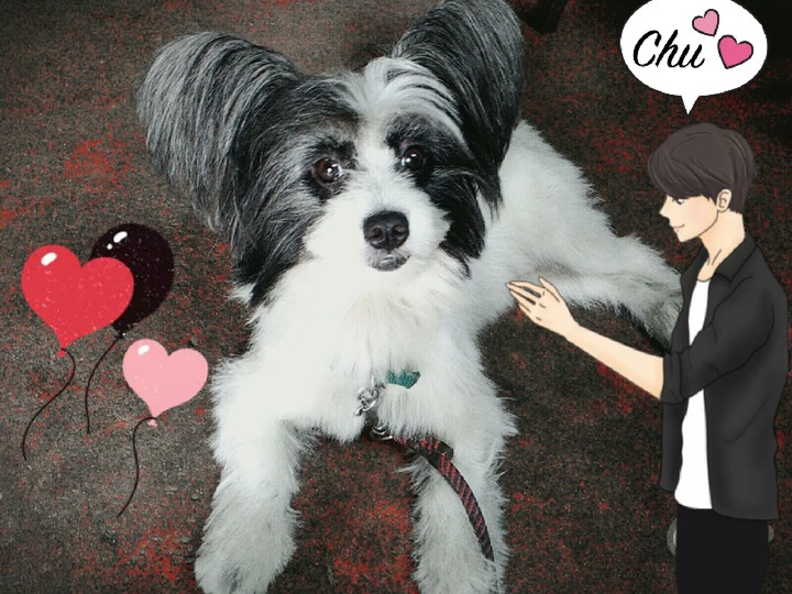 Cute Mittu