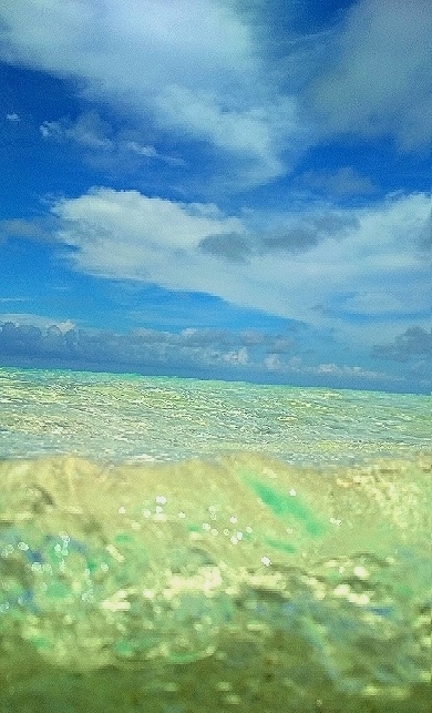 beach life