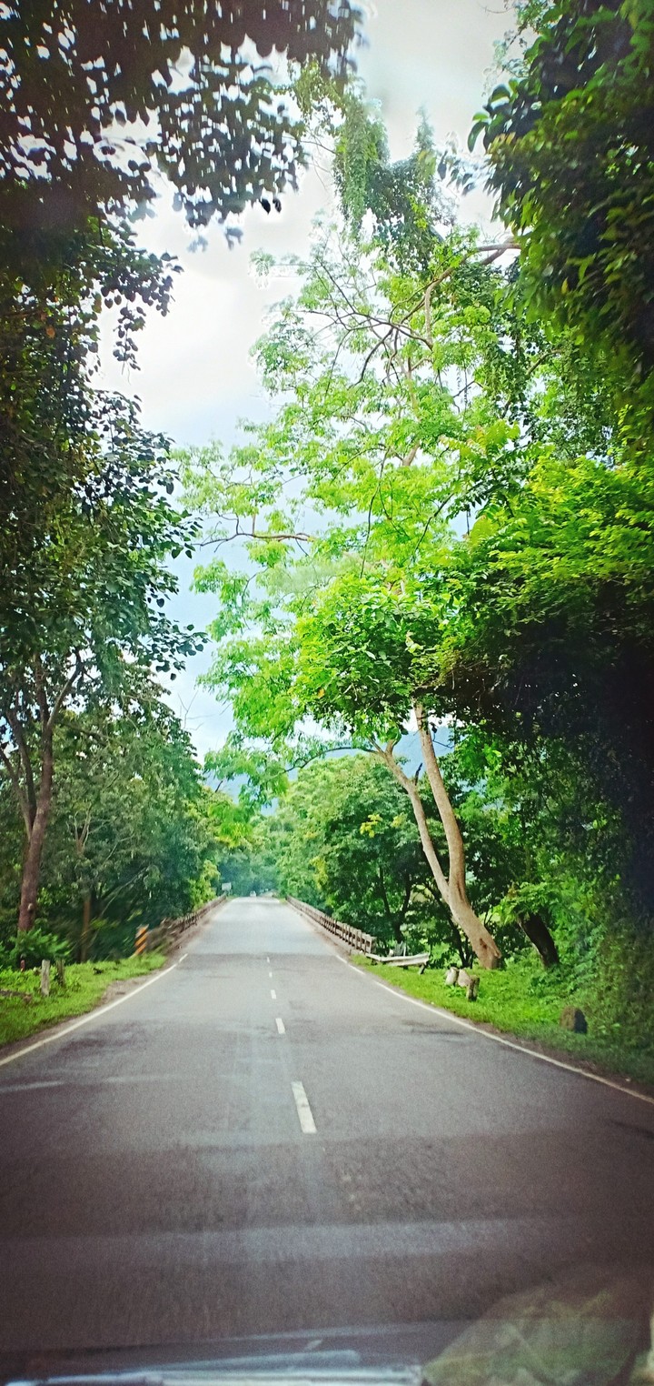 way to nature