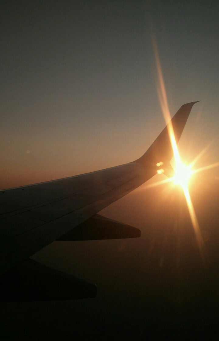 Soar high, shine bright!