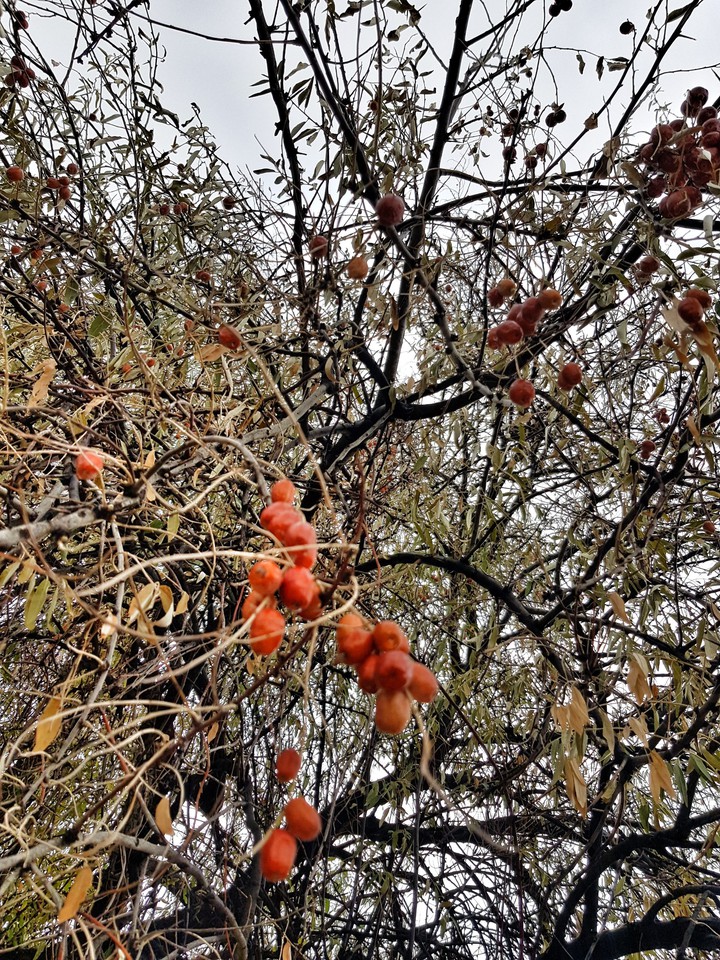 Autumn