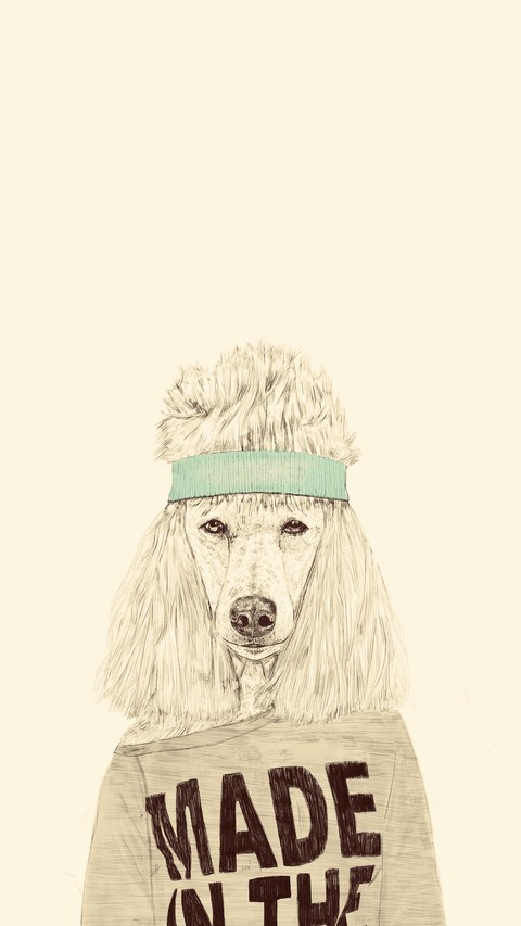 dog/love/stilous/stilo