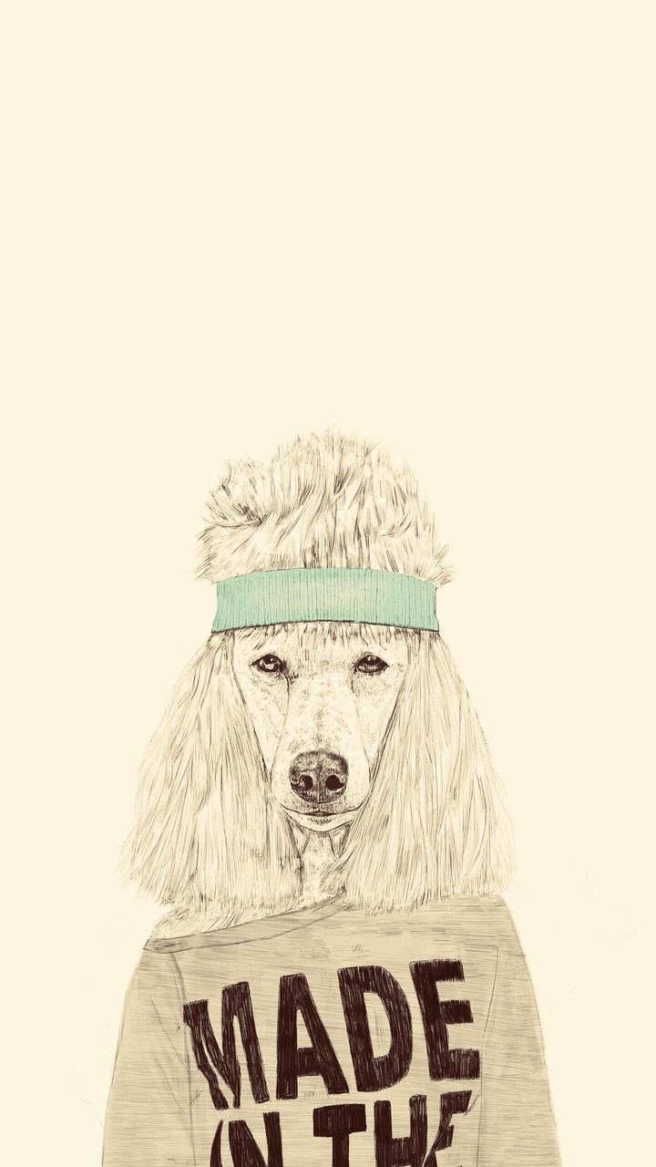 dog/love/stilous/stilo