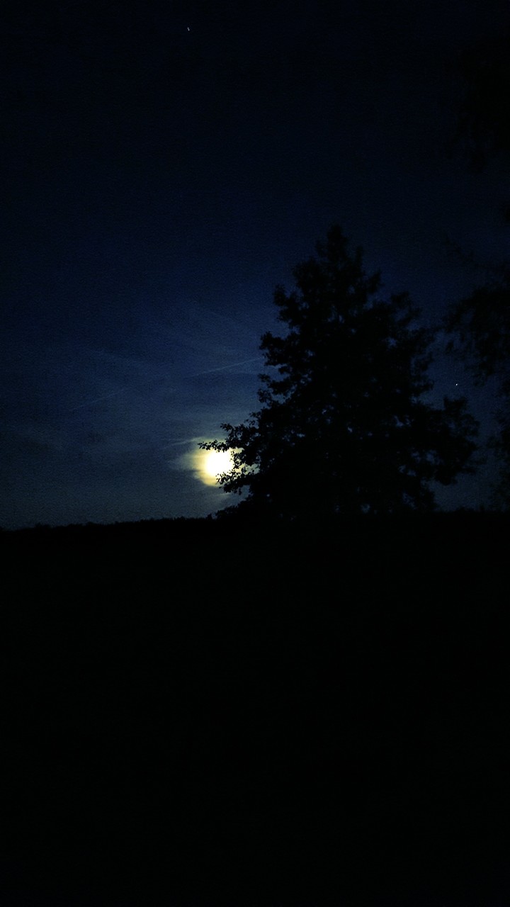 Full moon
