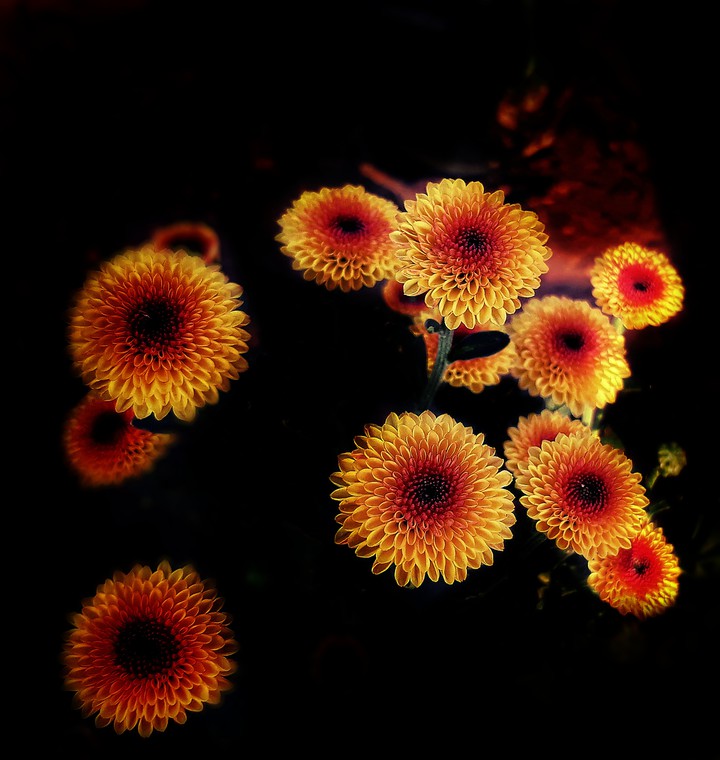 the artsea photography