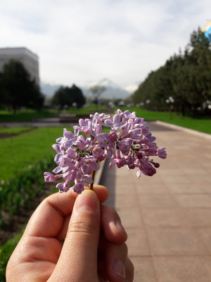 Even little things can cheer you up. You should just see it.