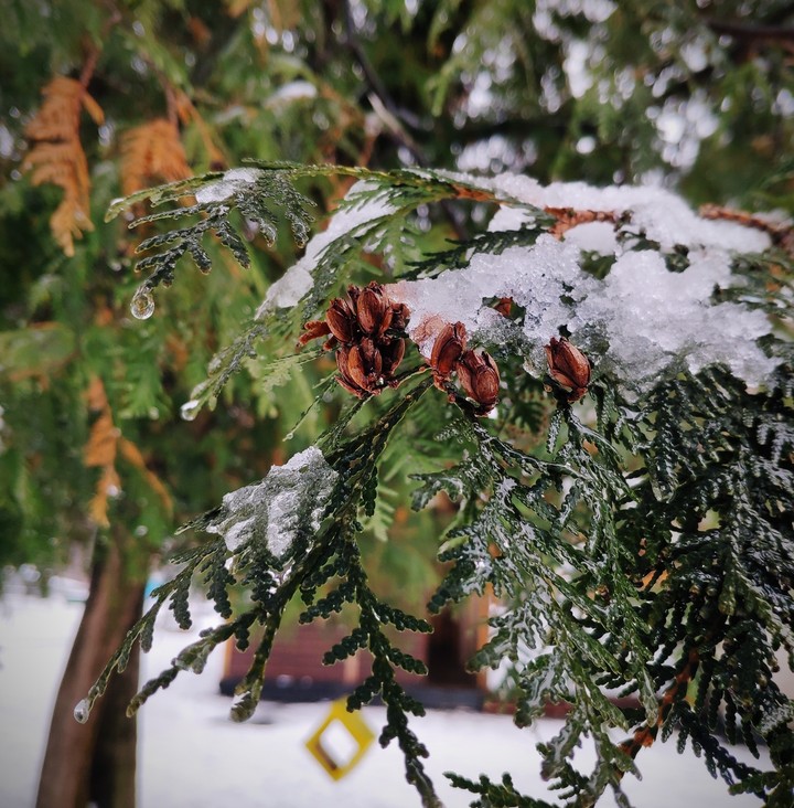winter