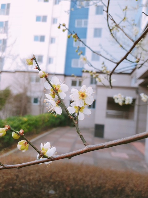 봄