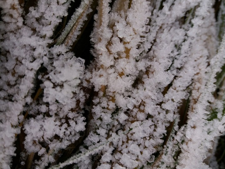 snow
