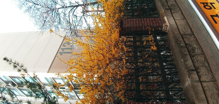 APT side flower