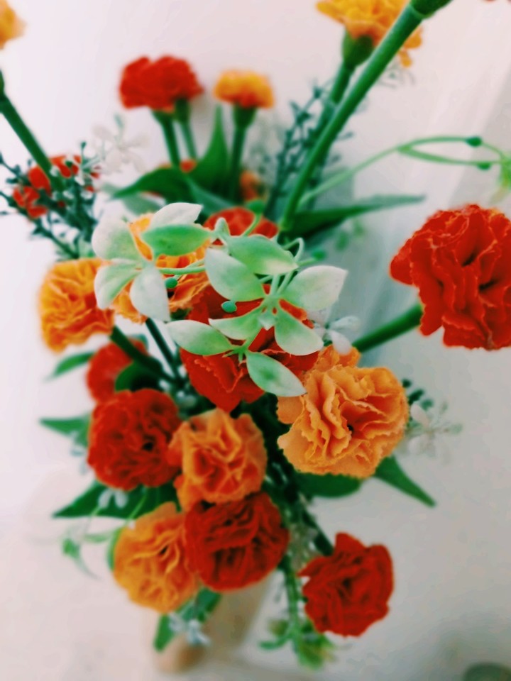 ##TheFlowerzzzzzMania##