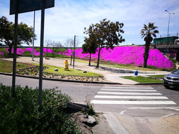 autopista