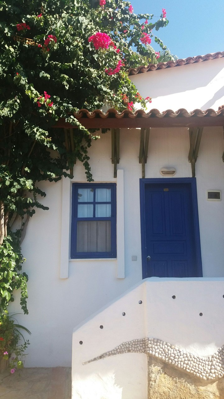 BlueWhite