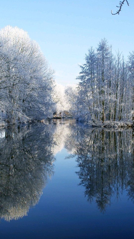 beau paysage