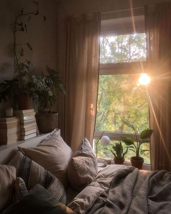 Morning warmth
