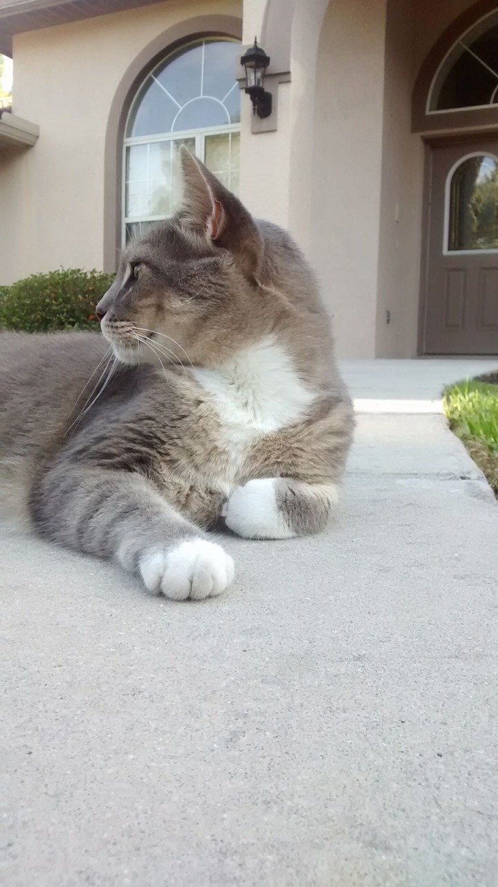 Smokey yet again